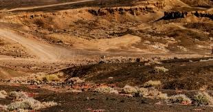 世体：梅西在进入诺坎普前没联系巴萨的任何人请求许可